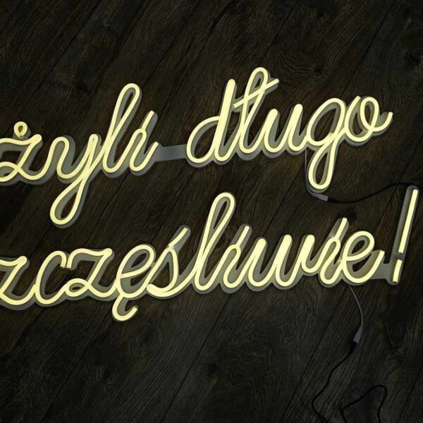 422591587_1813849612410522_9169017775017573275_n Neon "I żyli długo i szczęśliwie"